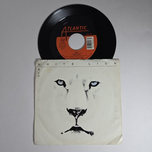 White lion wait don - lion, give
